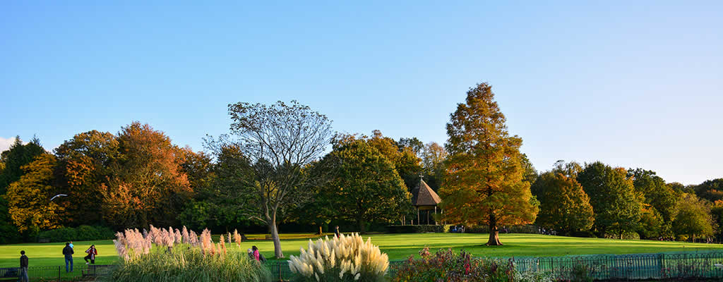 پارک همپستید هیث لندن (Hampstead Heath)