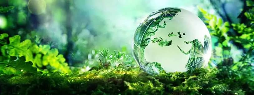 پایداری (sustainability) در سیستم آموزشی انگلستان